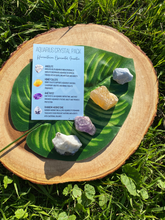 Load image into Gallery viewer, Aquarius Pack