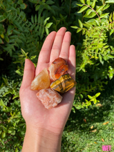 Load image into Gallery viewer, Leo Pack