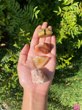 Load image into Gallery viewer, Leo Pack