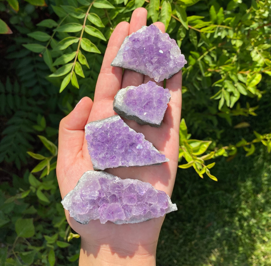 Amethyst Cluster